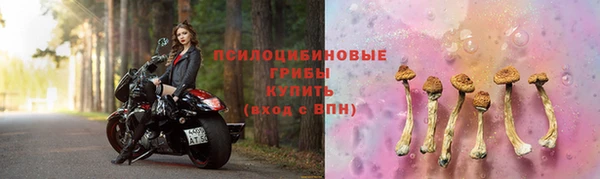 PSILOCYBIN Белоозёрский