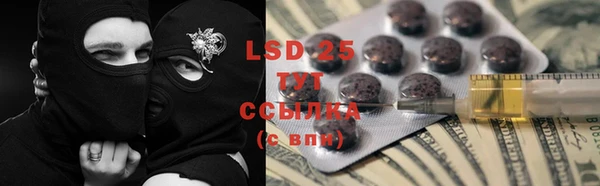 PSILOCYBIN Белоозёрский
