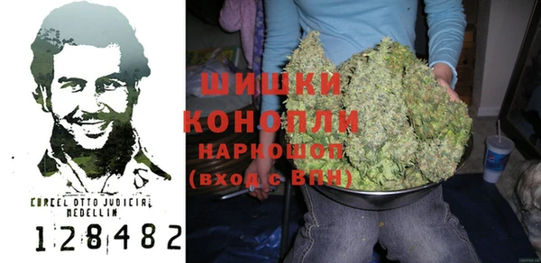 прущие крисы Белокуриха