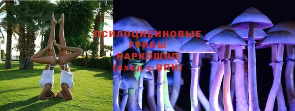 прущие крисы Белокуриха